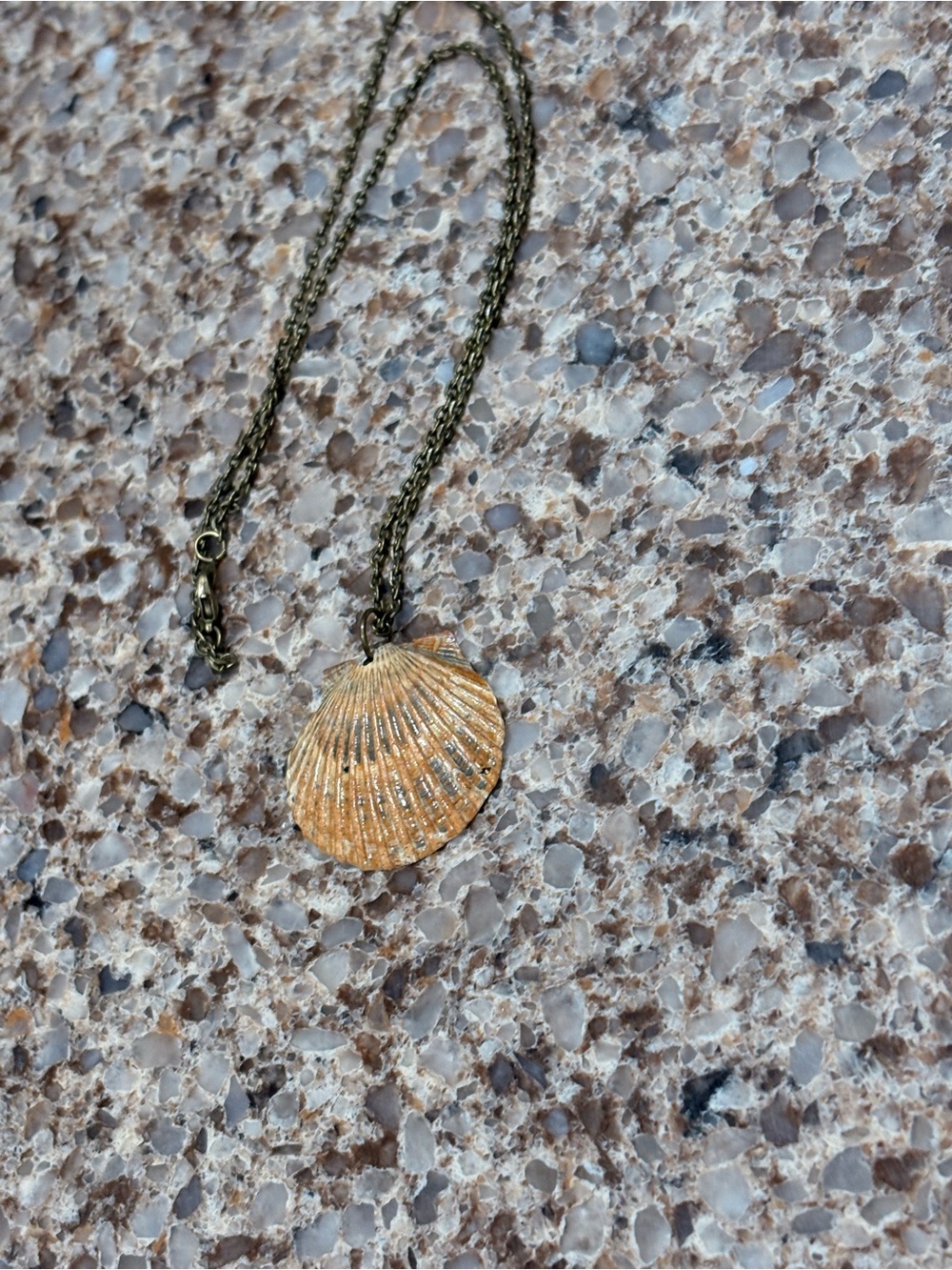 Shell necklace - Picture 3 of 6